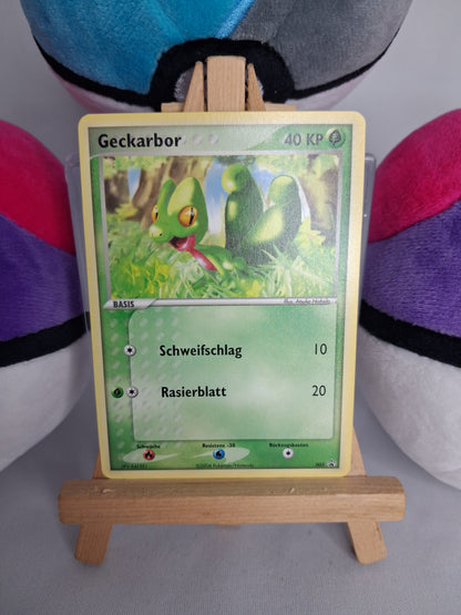geckarbor-1-nintendo-promos-de-np-003-non-holo-nm-nm-