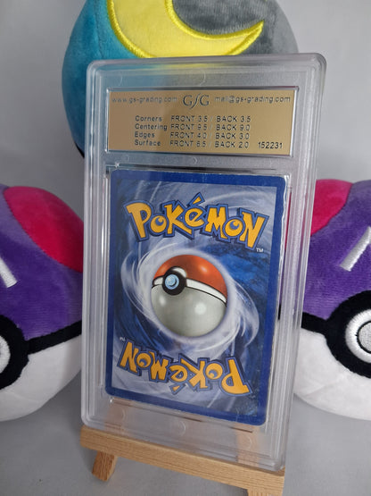raikou-skyridge-en-h26-h32-holo-gsg-35